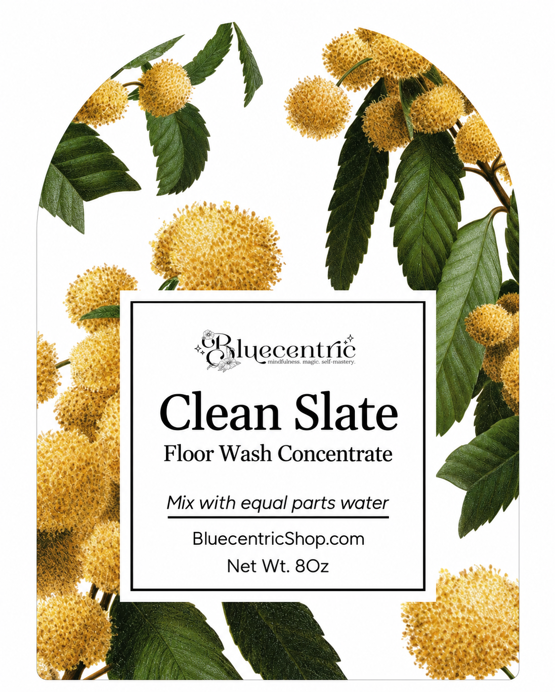 "Clean Slate" Floor Wash